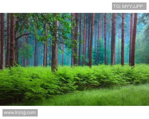 绿色森林与牛津联对决分析及胜负推荐探讨