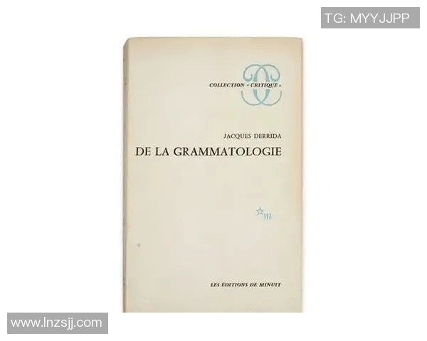 罗毅刚：从基层到高层的奋斗历程与人生哲学探索