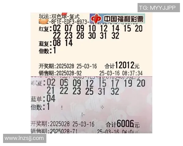 双色球彩民村的梦想与希望：追寻幸运之路的故事与传奇