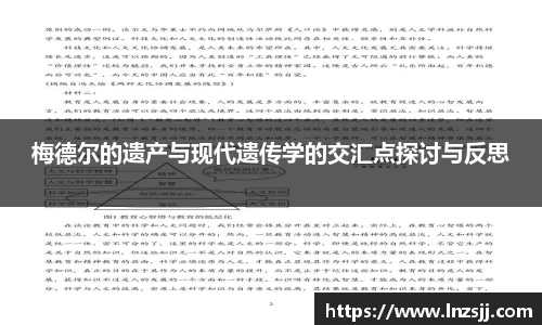 优游国际官网首页