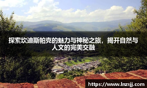 优游国际平台